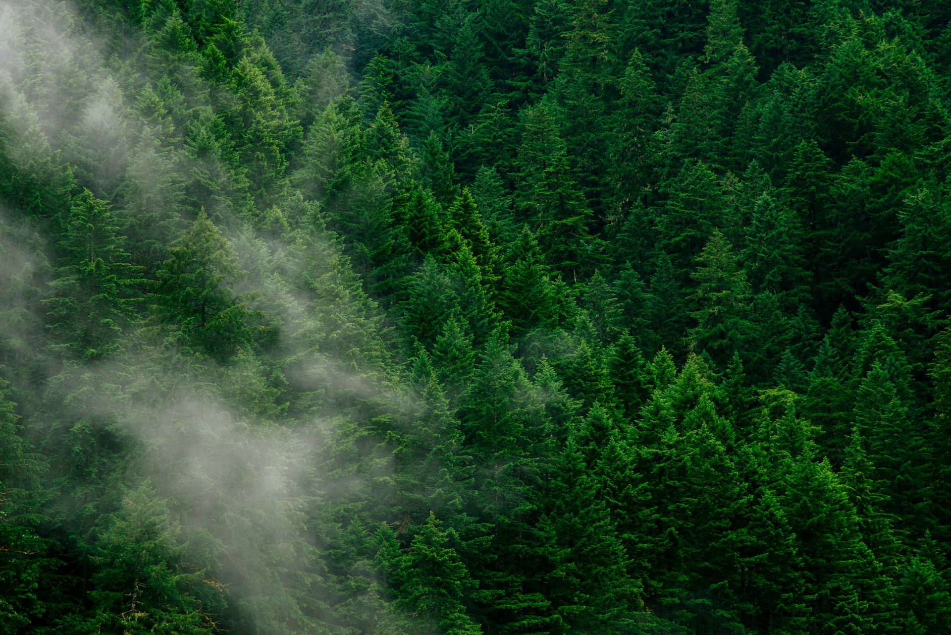 page-header